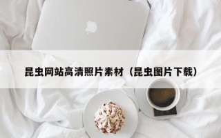 浚县昆虫网站高清照片素材（昆虫图片下载）